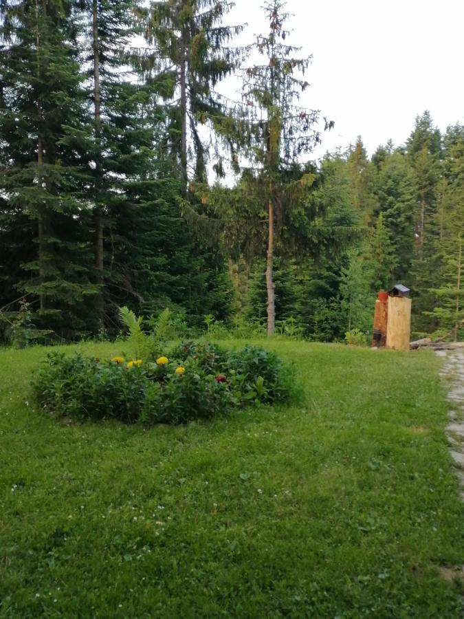 P-Zlatar, Apartman 3 Brdo Екстер'єр фото